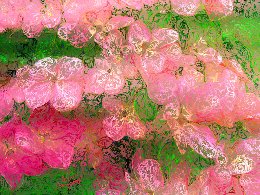Dogwood Pink  Art | Jeanie Campbell