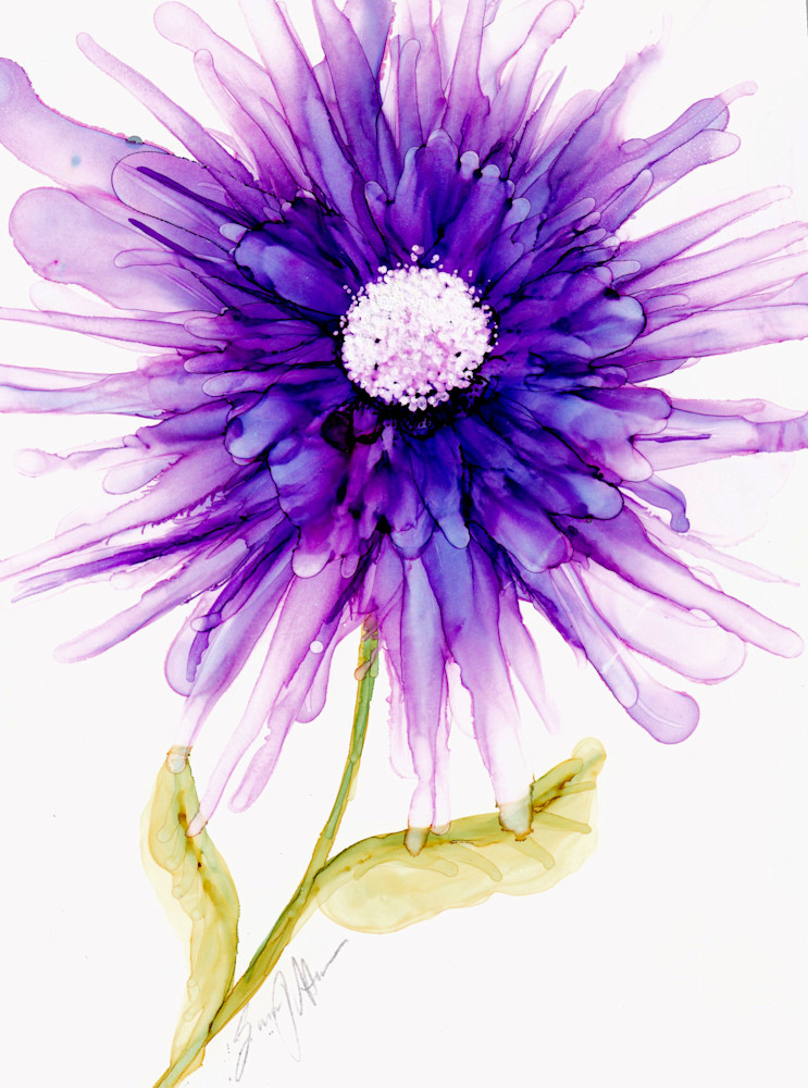 Purple Dahlia  Art | Susan Hanson Art