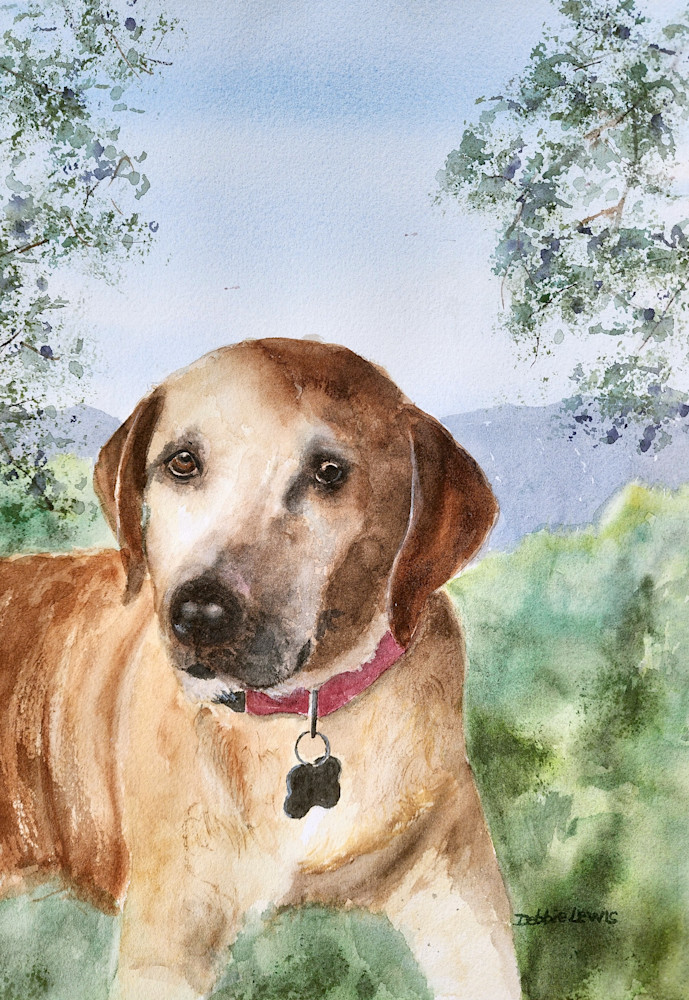 Rusty The Labrador Art | Debbie Lewis Watercolors