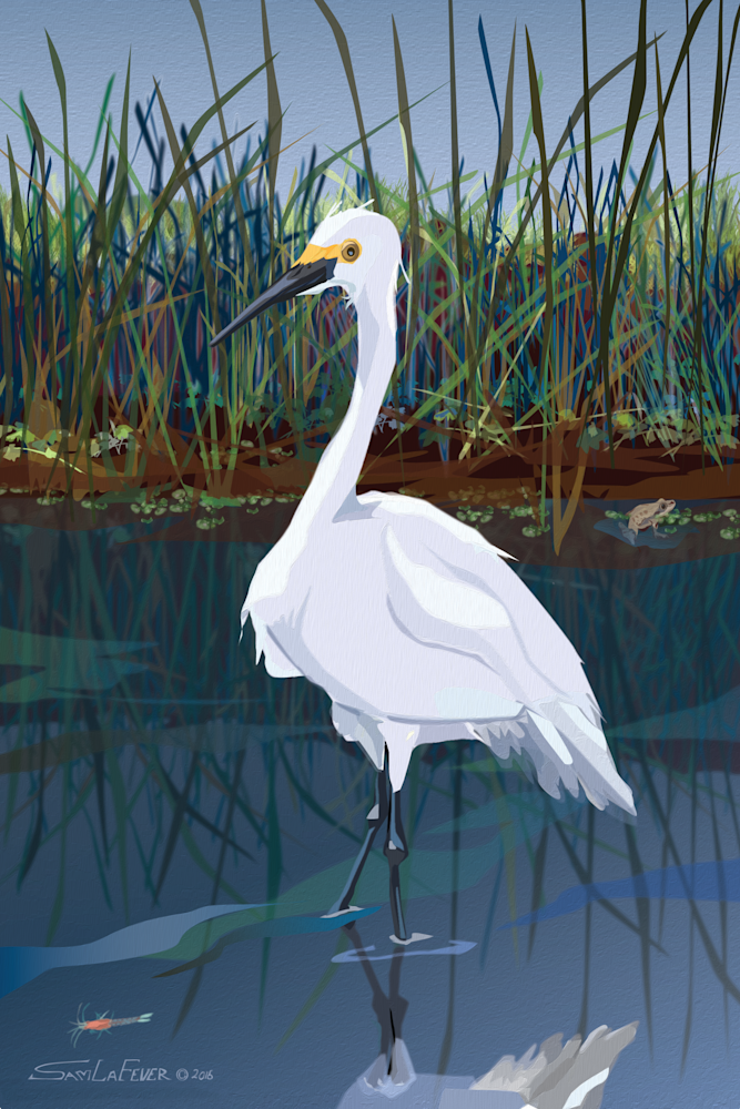 Snowy Egret | Sam LaFever