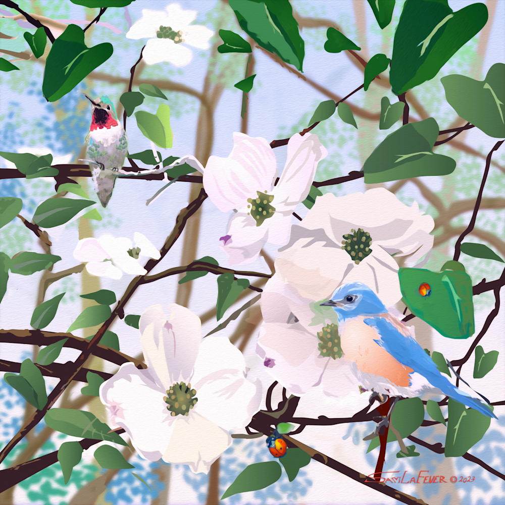 Dogwood with bluebird | Sam LaFever