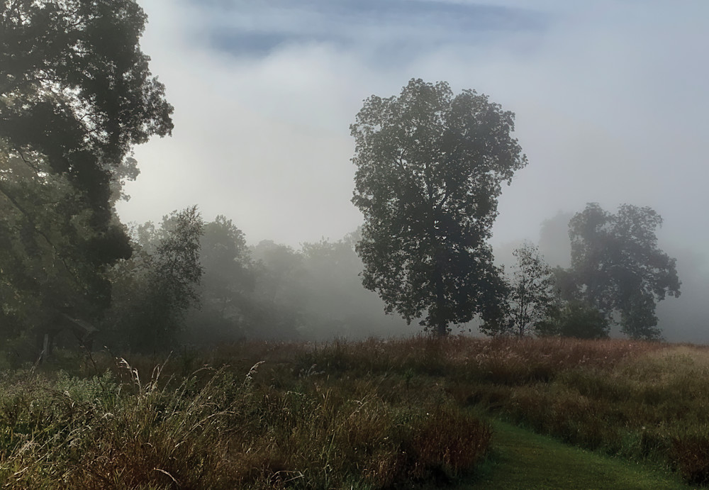 Landscape   Misty Morning Meadow Photography Art | D. Noel Imagery