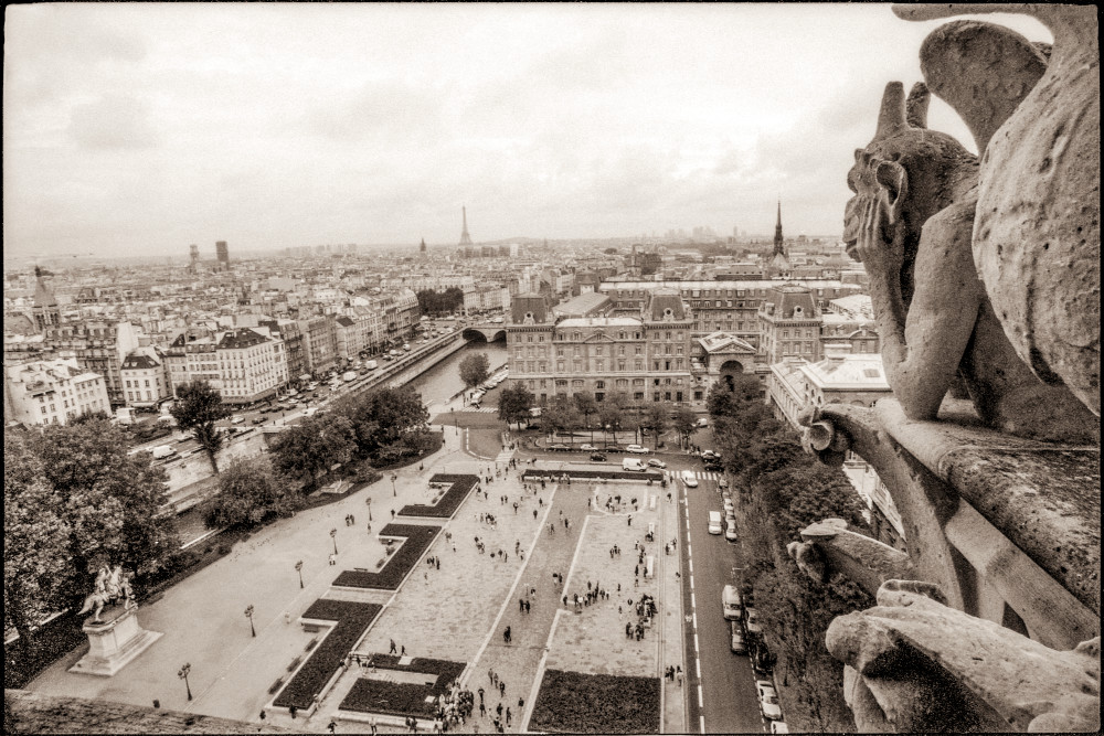Gargoyle View Of Parvis Notre Dame Sepia 2 Photography Art | Europa Photogenica     Barbara van Zanten