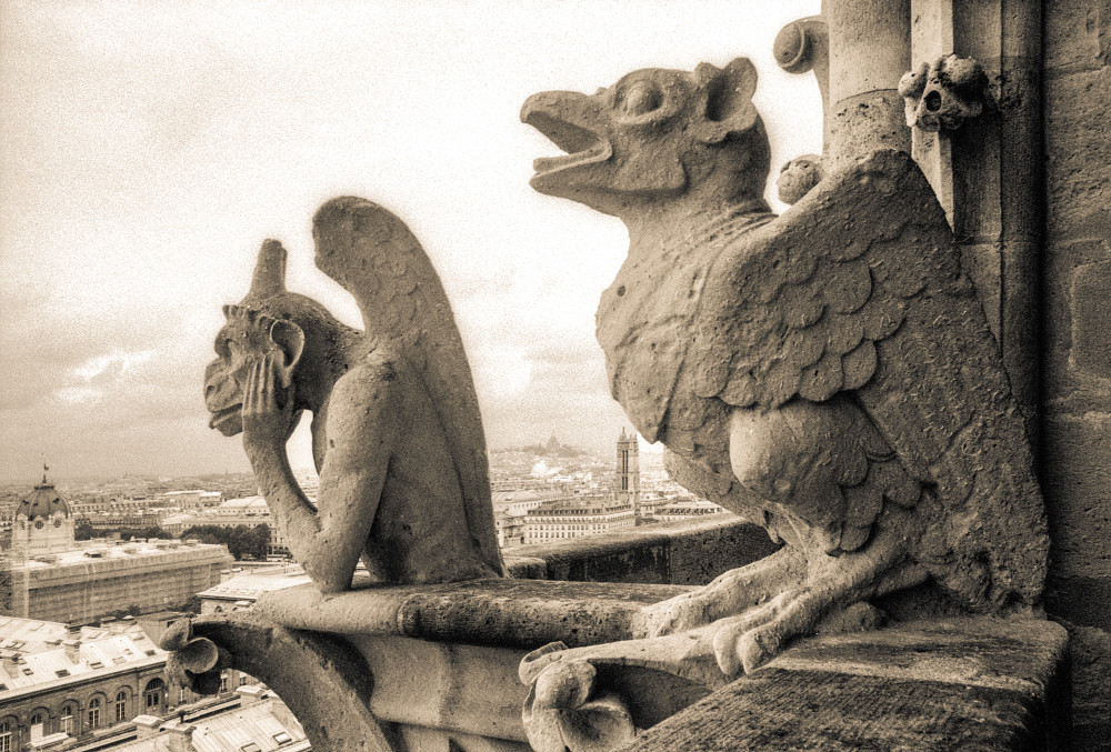 Gargoyle View Of Parvis Notre Dame Sepia 3 Photography Art | Europa Photogenica     Barbara van Zanten