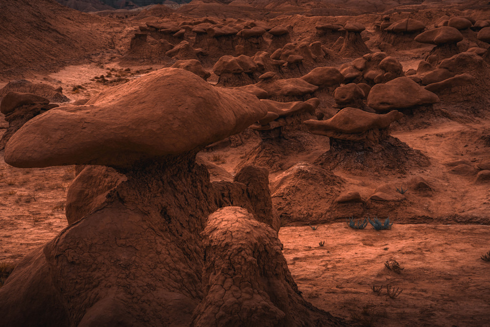 Mushrooms Of Stone   Goblin Valley State Park, Utah Photography Art | matthewryanphoto