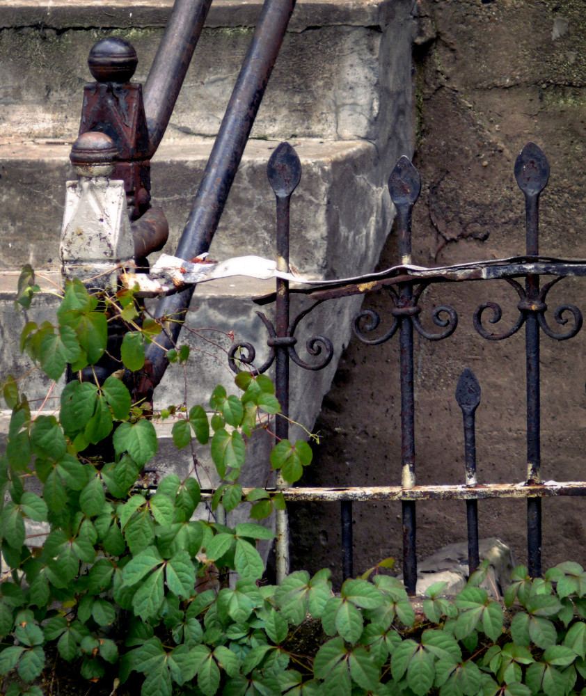 Buck Town Fence Photography Art | Gail Wiley Thompson Photography
