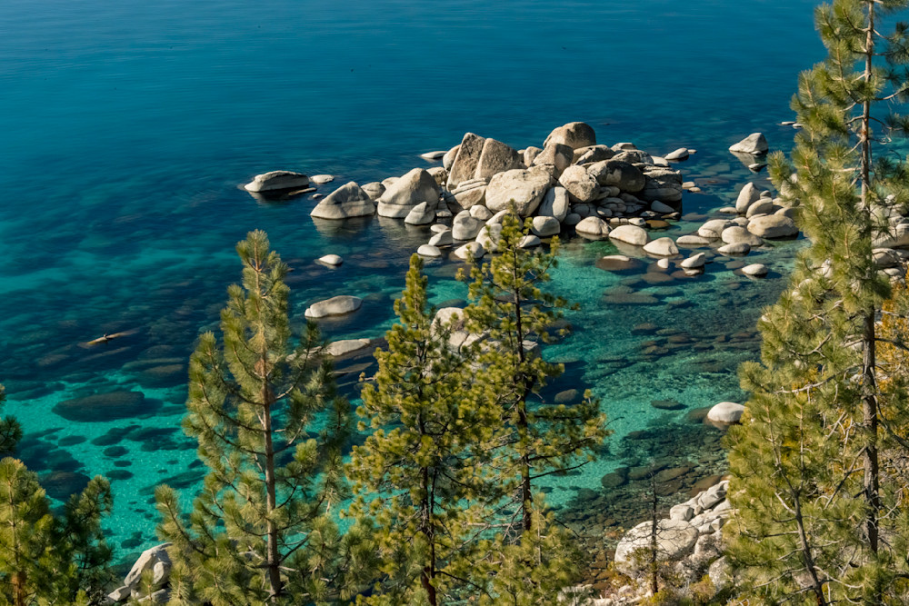 Emerald Shoreline Photography Art | Great Wildlife Photos, LLC