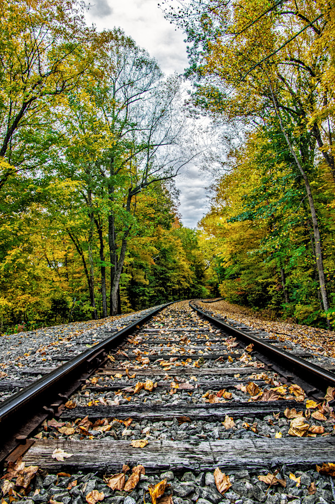 Fall Tracks Photography Art | David Thoutt Photography
