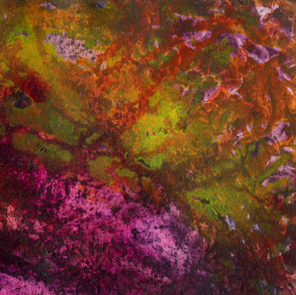 Coral Study 7