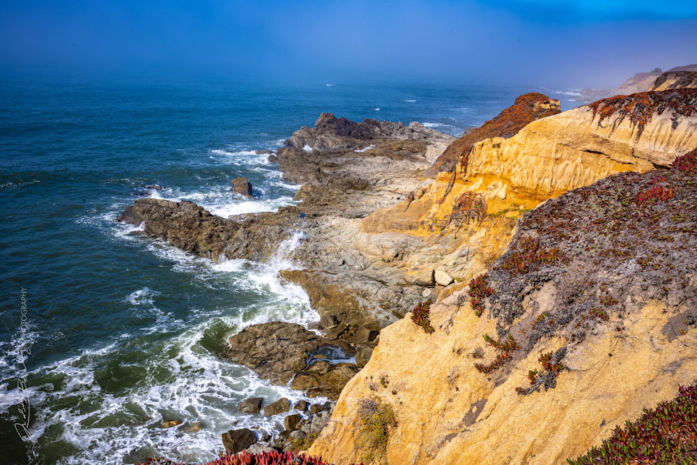 California Coast Art | Judith Barath Arts