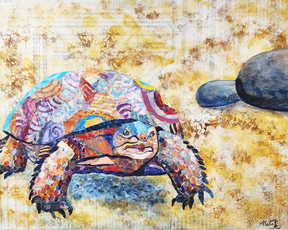 Wild Neighbors: Desert Tortoise Art | Poppyfish Studio
