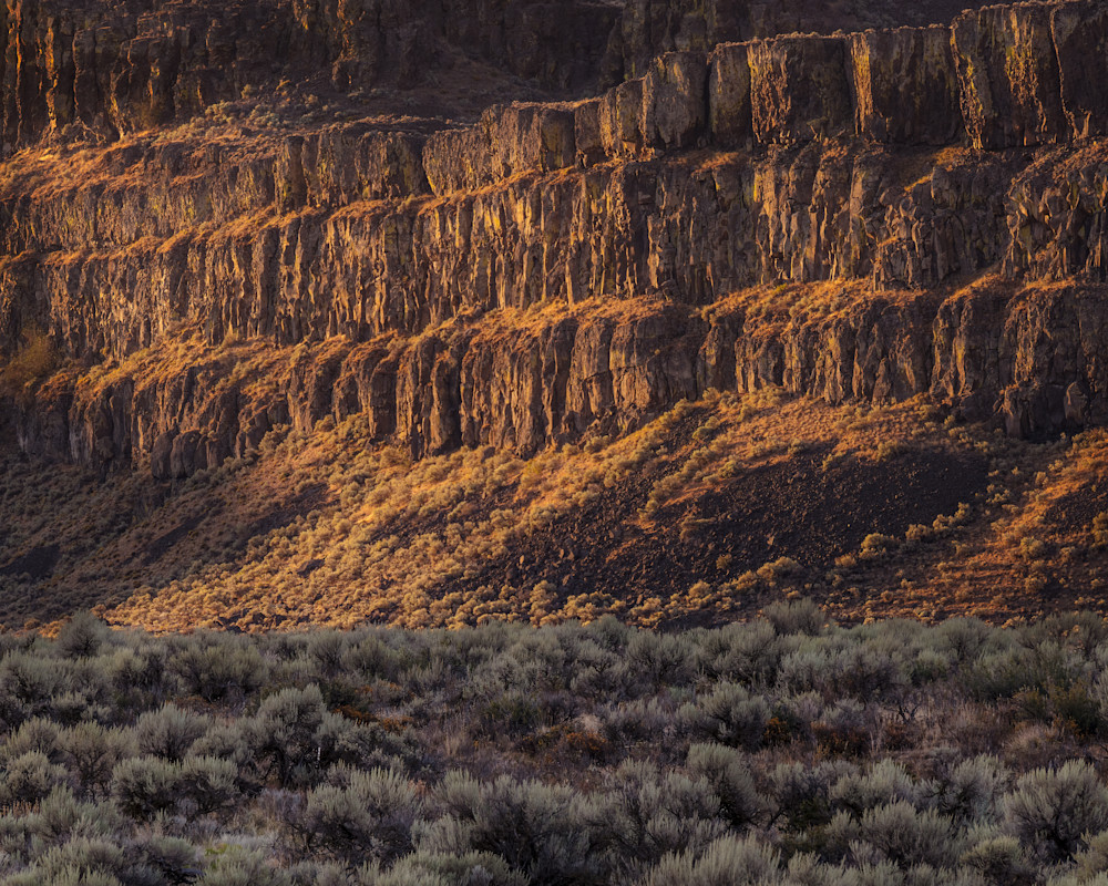 Morning Light on the Canyon Walls, Frenchman Coulee, Washington, 2023