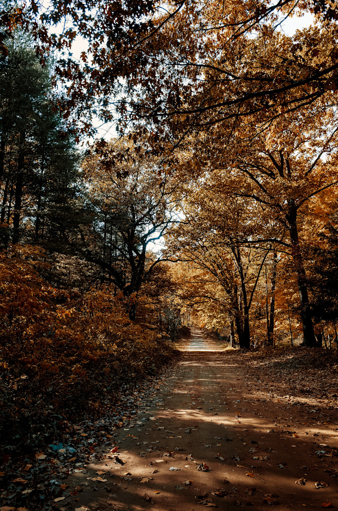 Fall Colors 2 Photography Art | Kevin Morris Photography USA