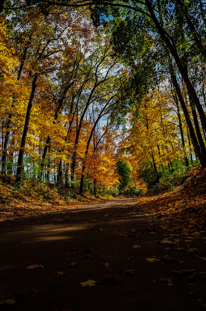 Fall Colors 1 Photography Art | Kevin Morris Photography USA