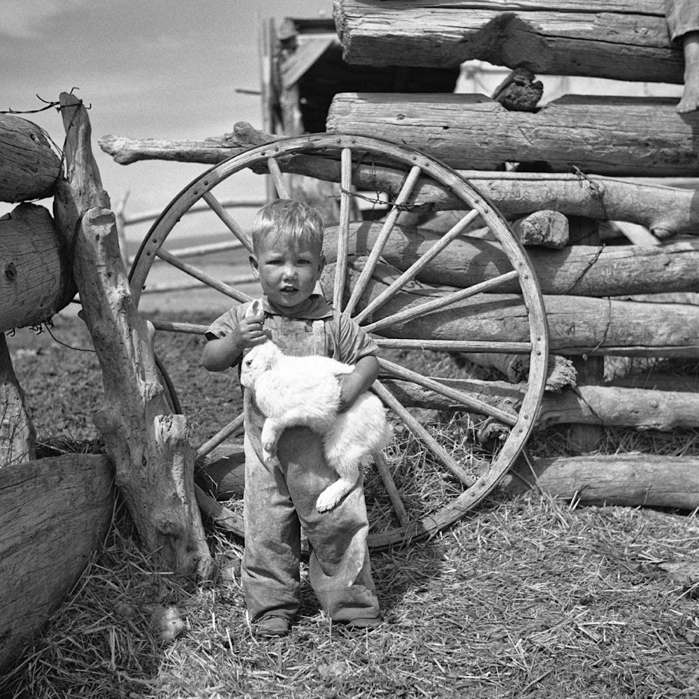 Son Of A Sheep Rancher. Oneida County, Idaho. 1936 Photography Art | Arthur Rothstein Legacy Project LLC