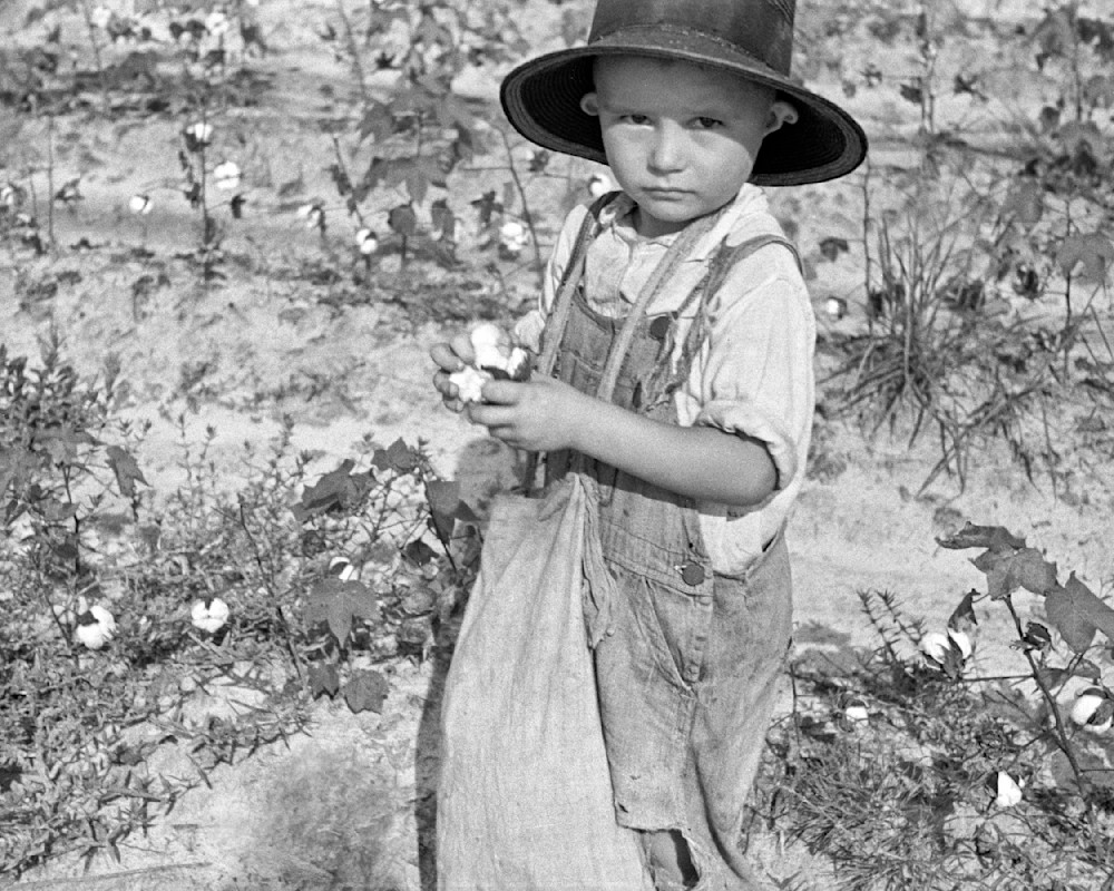 Son Of A Cotton Sharecropper. Lauderdale County Ms 1935