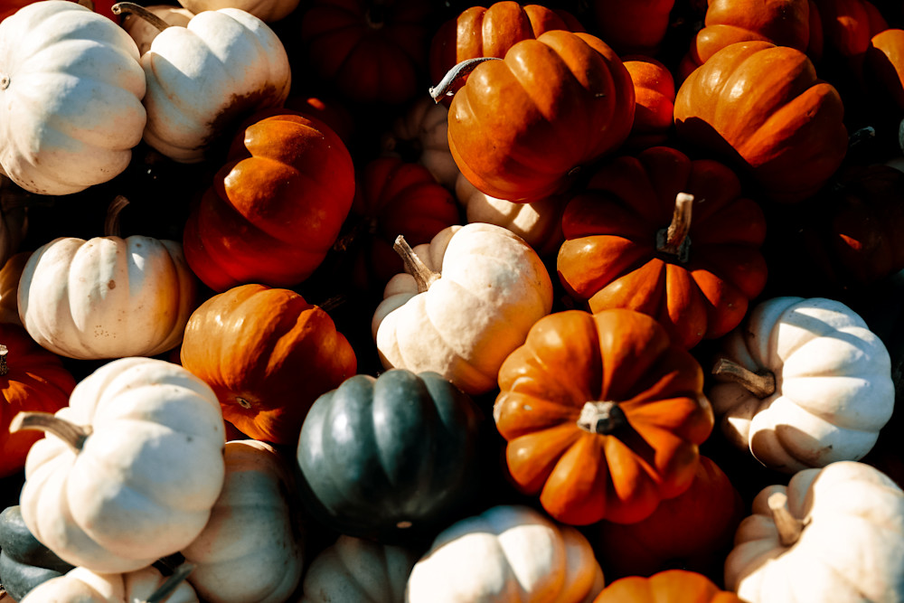 Little Pumpkins Photography Art | Kevin Morris Photography USA
