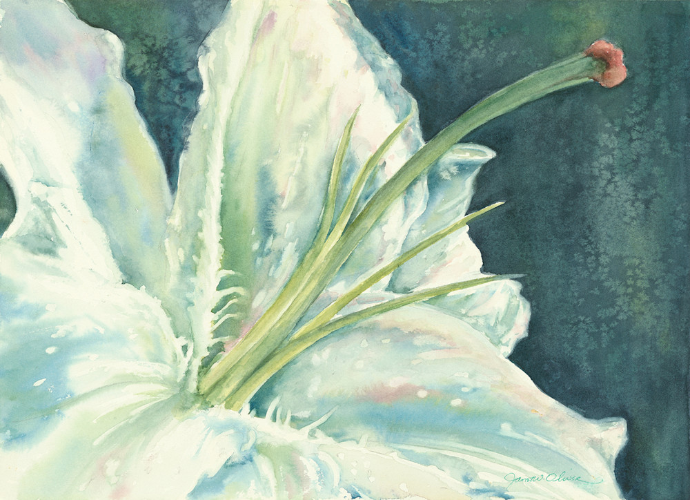 Lily White Art | Grand Traverse Arts