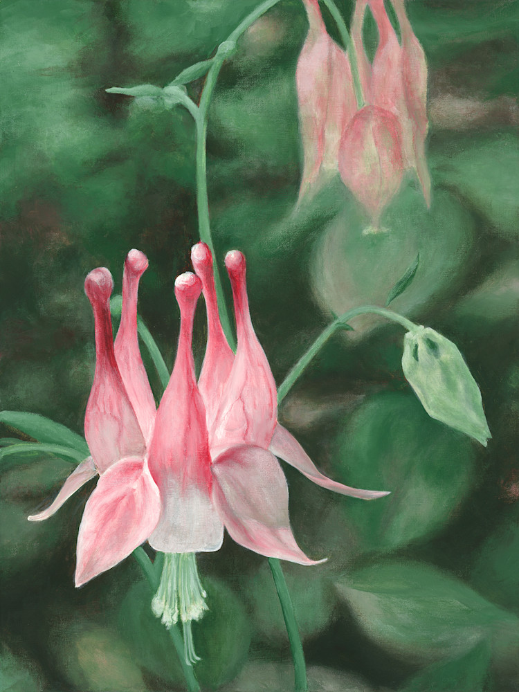 Pink Columbine Art | Grand Traverse Arts