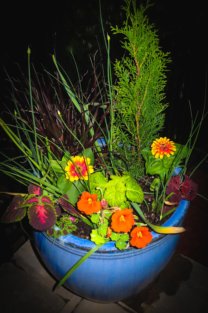 Cottage Garden Blue and Orange Pot | Eugene L Brill