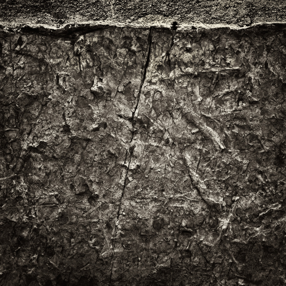 Ancestral Imprint Photography Art | Thomas Francisco Fine Art