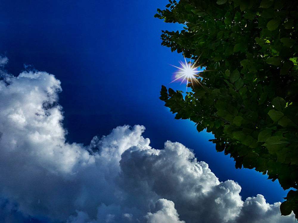 Demeters Forest Clouds Clr Art | Sky + Sparks Luxury Fine Art