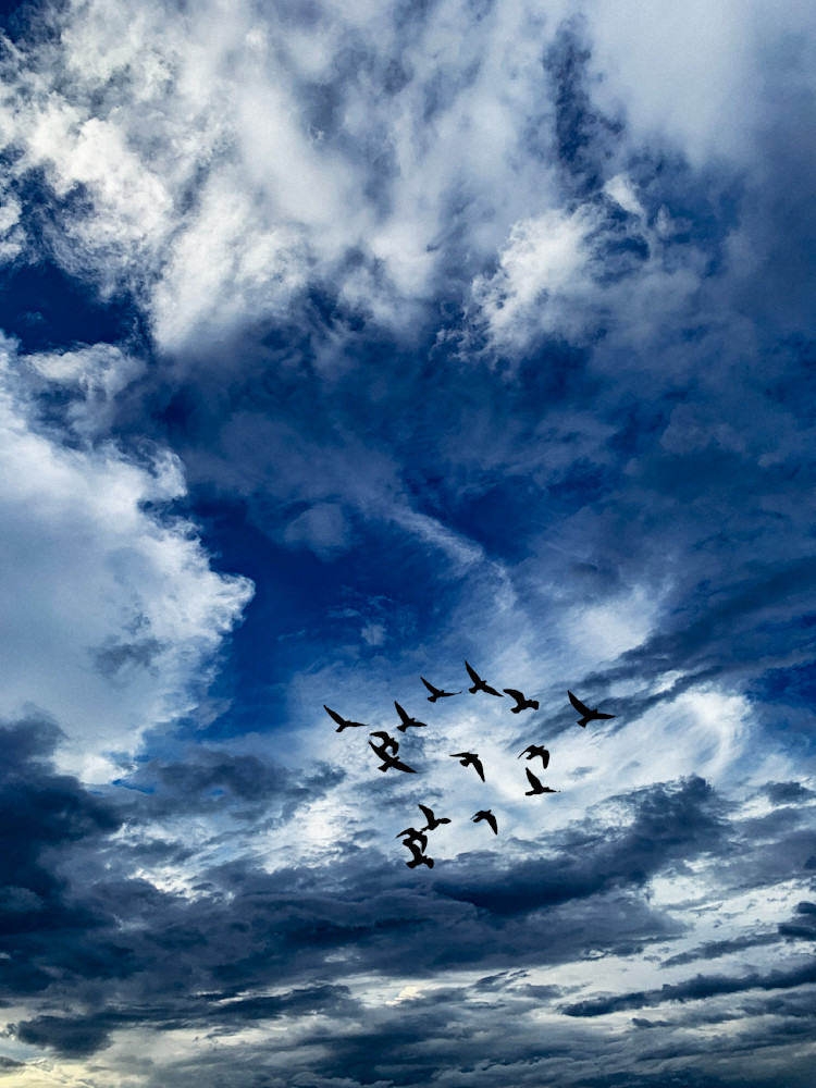 Guardians Of The Sky Clr Art | Sky + Sparks Luxury Fine Art