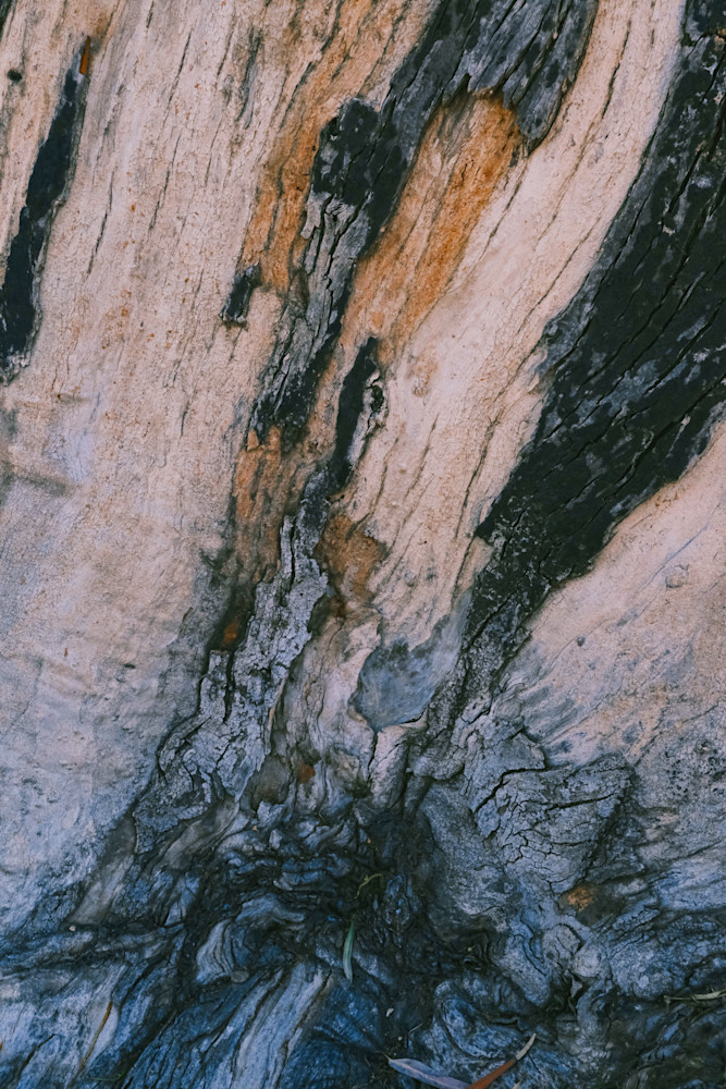 Launch Photography Art | racheljeraffi