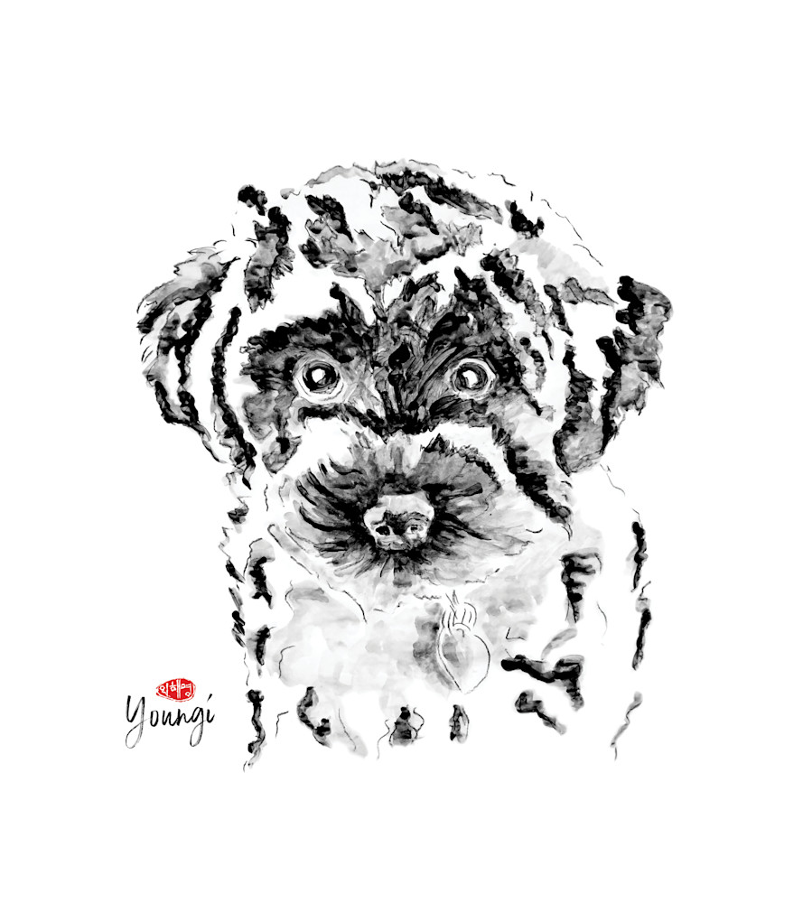 Coco: Mini Whoodle Art | Youngi-Sumistyle pets