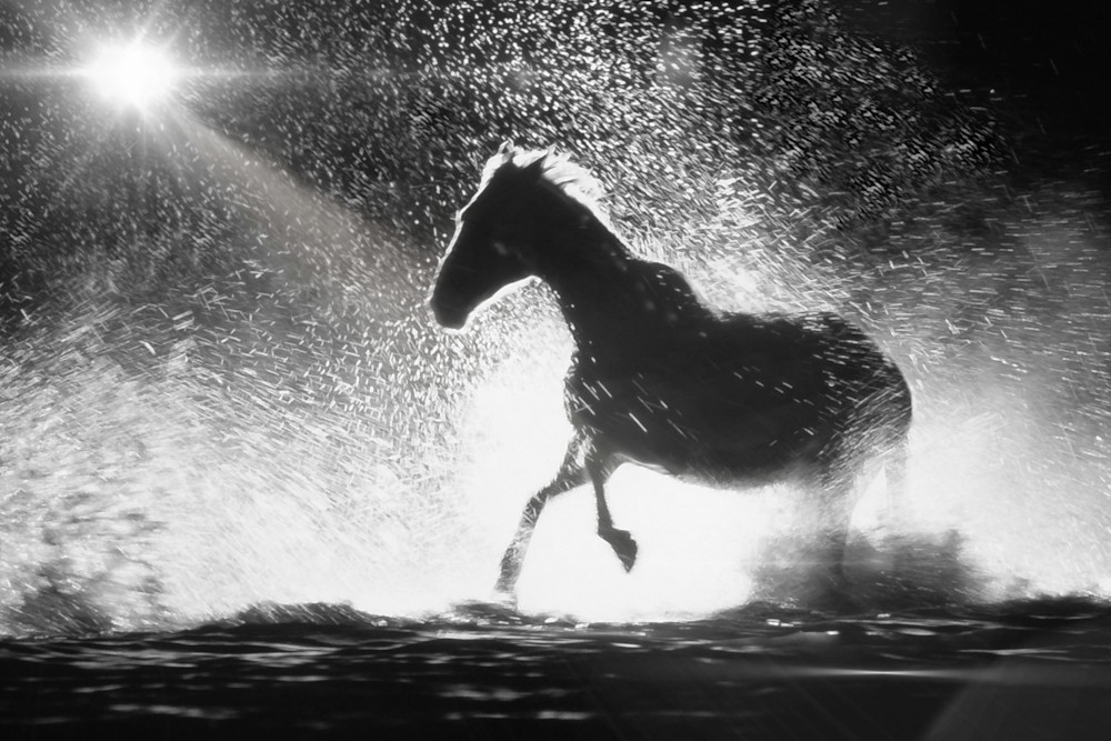 Freedom Embodied: Horse Galloping In Mysterious Night Waters Art | John Lawlor #reimagingartist (SplashingHorses.art)