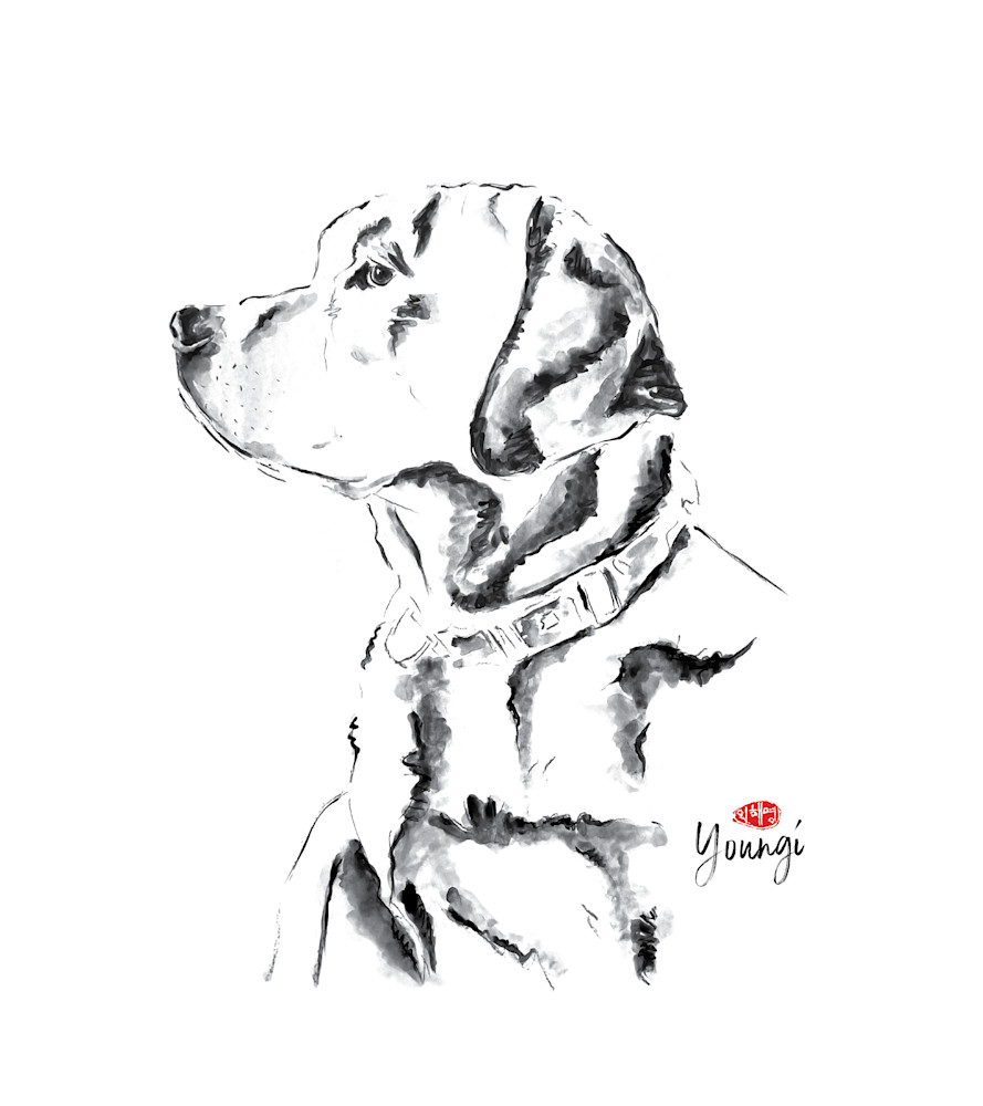 Dolly: Labrador Art | Youngi-Sumistyle pets