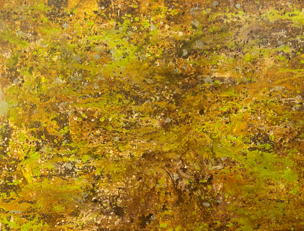 Spring Fall Forest Floor Art | Vonder Gray Art