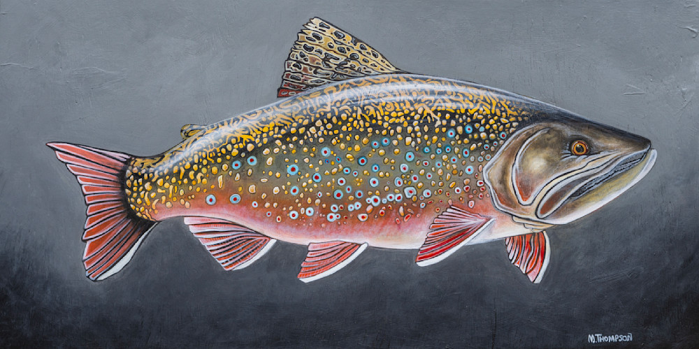 Brook Trout Art | Matt Thompson Art