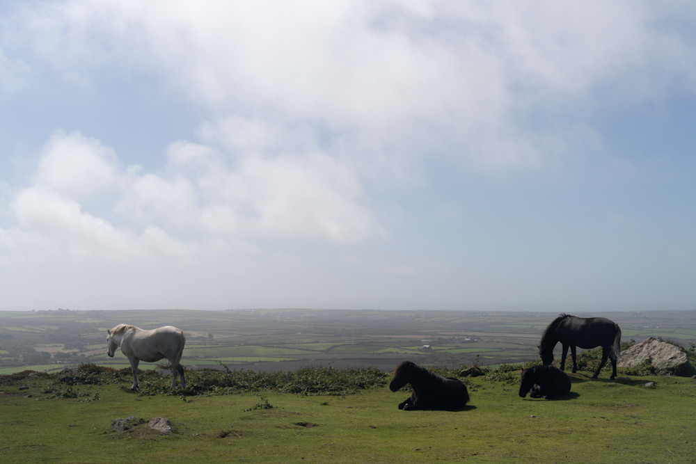 Cornwall, With Ponies Photography Art | Playful Gallery by Rob Harrison