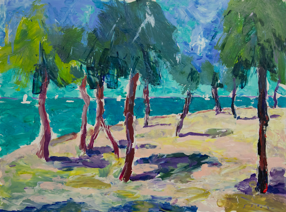 Beach Palms  Art | John Sirois