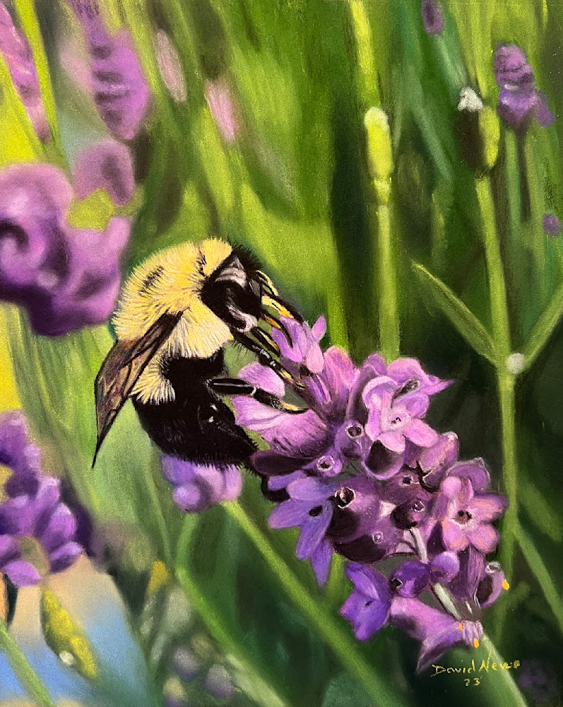 Bee Beautiful Art | davenevue