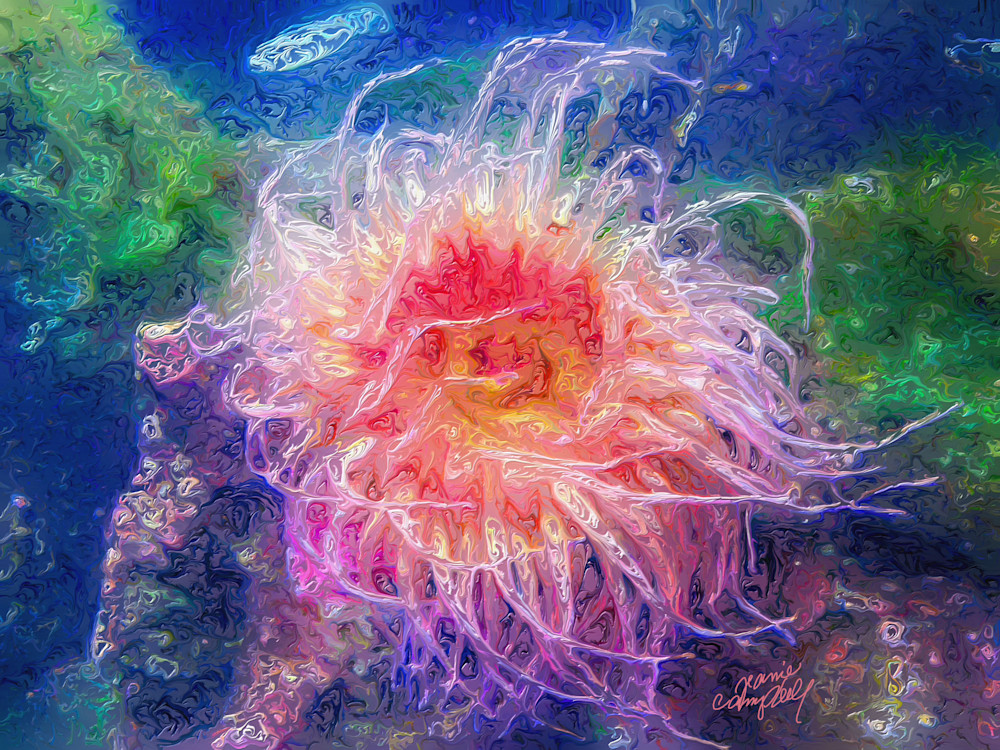 Or Coast Anemone Art | Jeanie Campbell