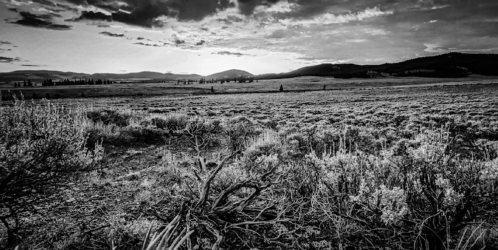 20230804 061320 Photography Art | L G Murphy Photography 