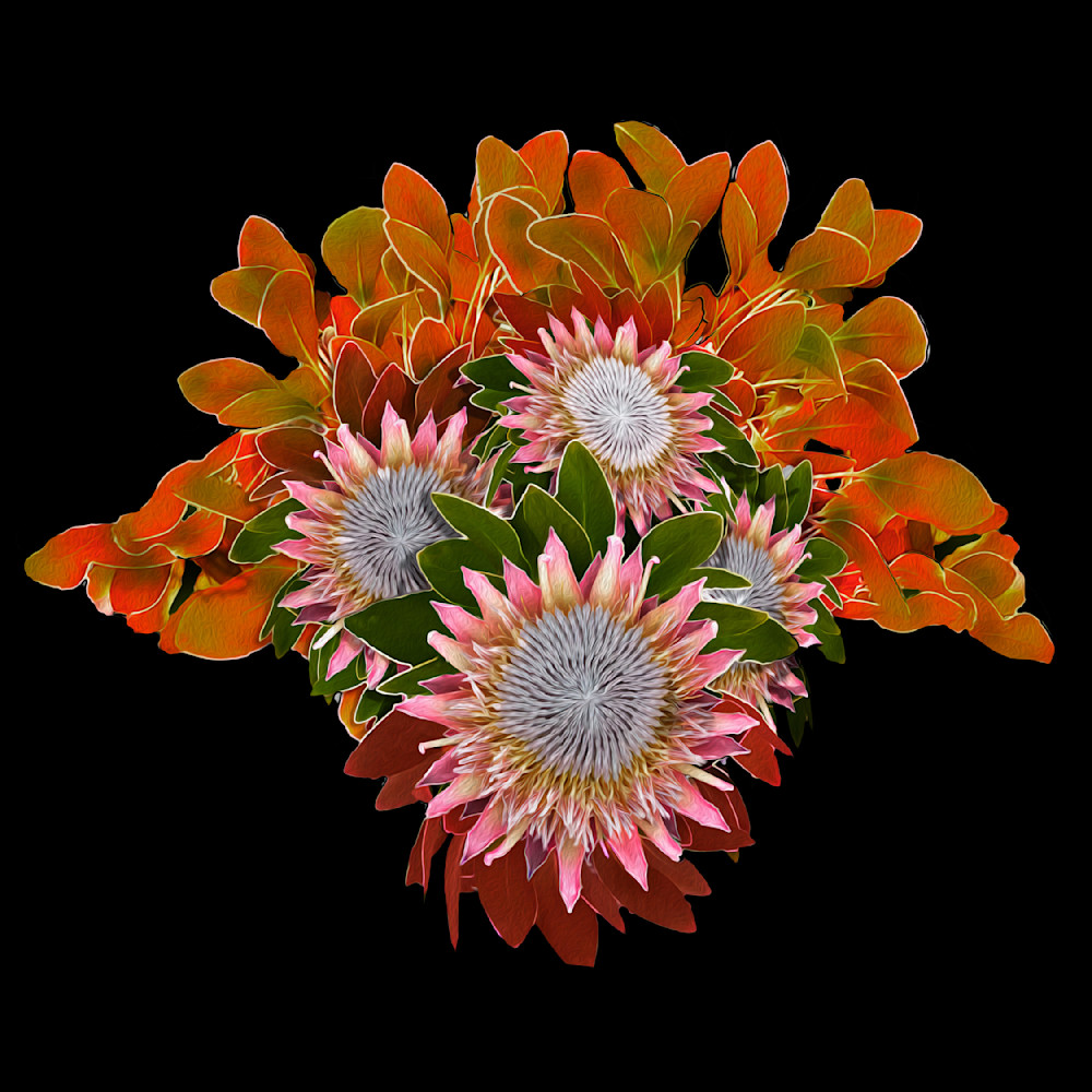Orange, Green King Protea Flowers Art | Art from the Soul