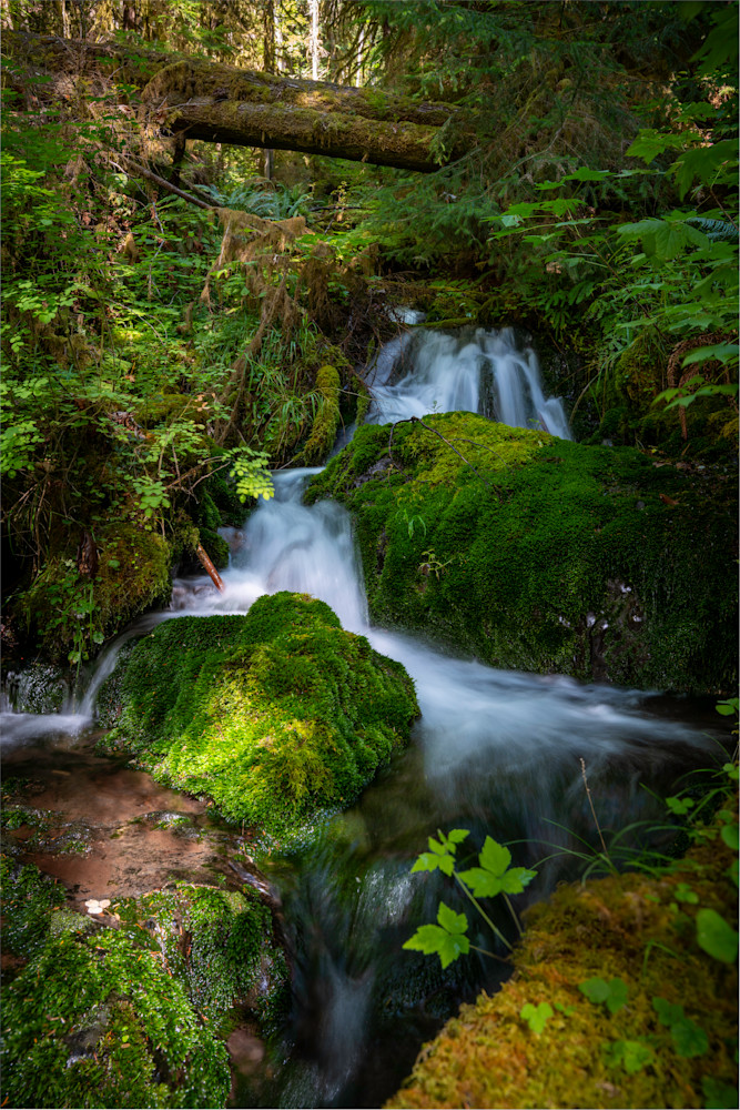 Mossy Waterfall Photography Art | Dick Nagel Photography