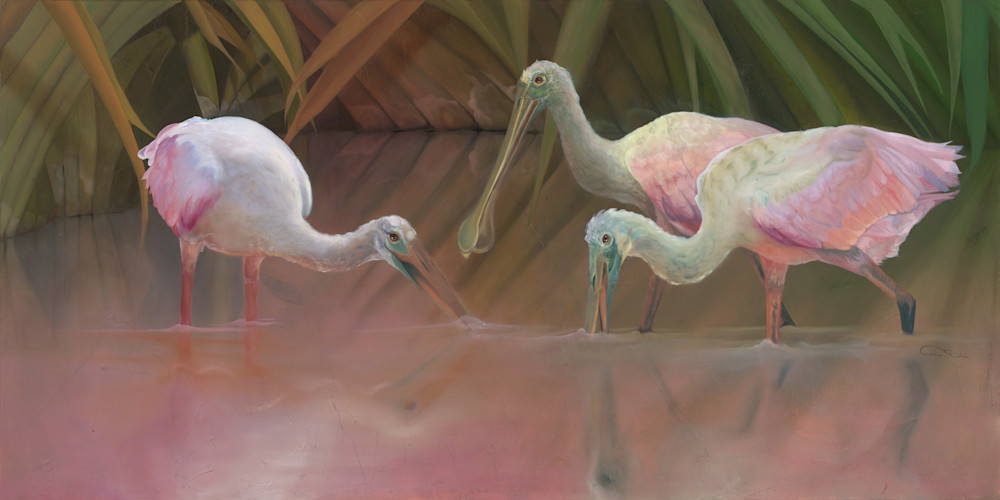Captivating Roseate Spoonbill Fine Art Print by Allison Richter - 'Slanted Sun's Last Call' in Coastal Marshes