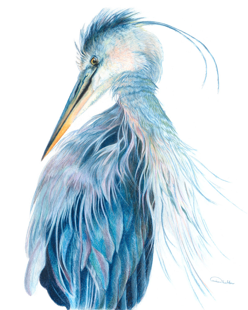 "Presumed Melancholy" - Captivating Blue Heron Fine Art Print by Allison Richter