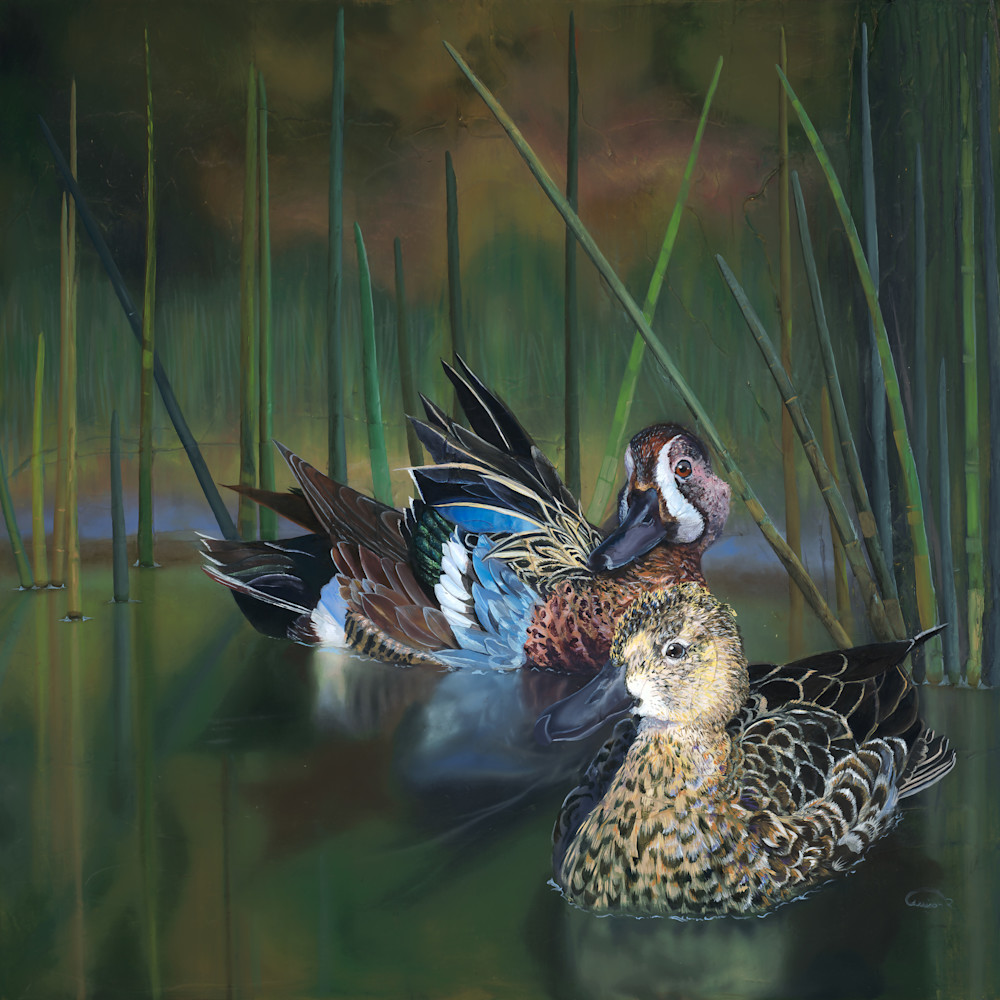 "Happenstance" Fine Art Print - In Support Florida Wetlands Conservation