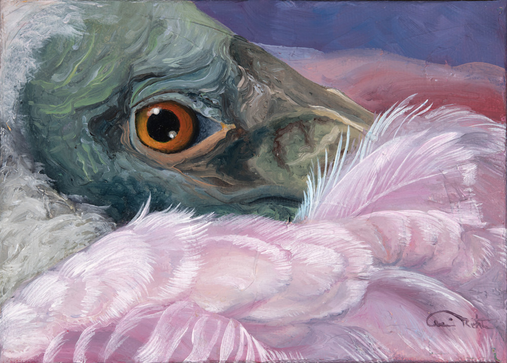 Discover 'Wingman' - Miniature Roseate Spoonbill Fine Art Print by Allison Richter