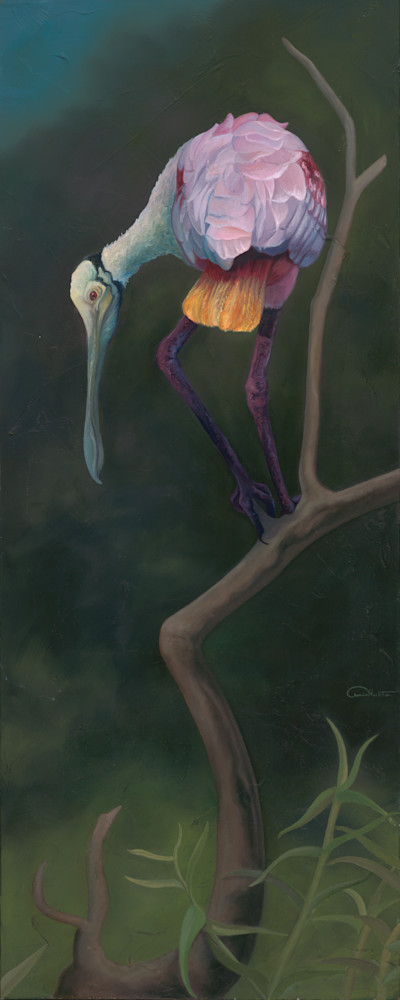 "Light as a Feather" - Majestic Roseate Spoonbill Fine Art Print by Allison Richter