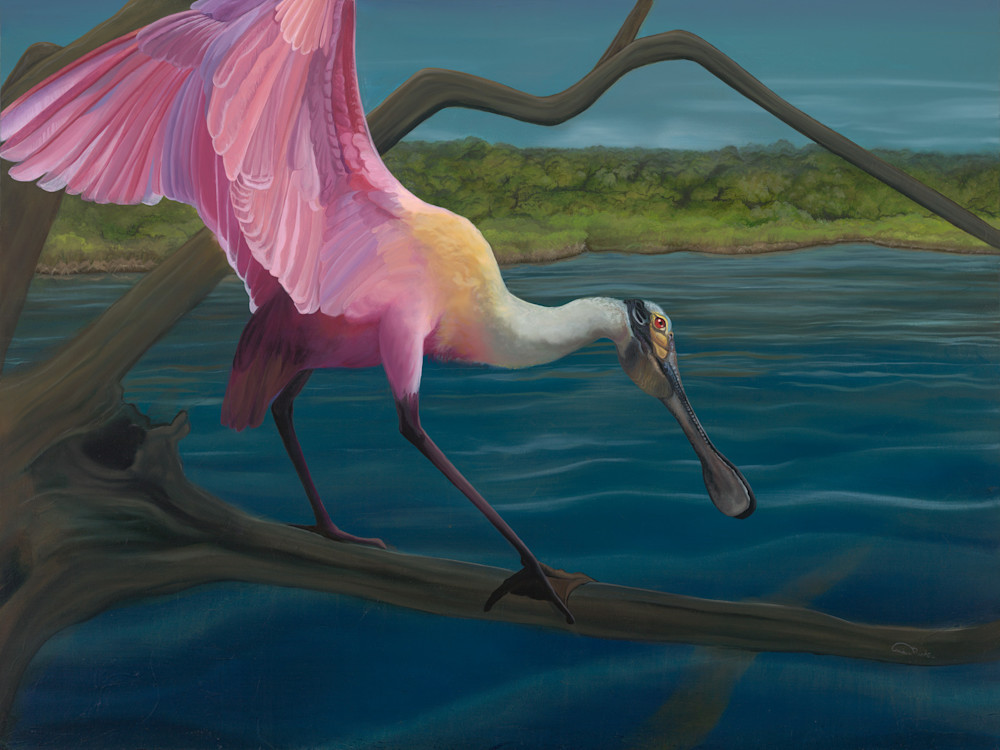 "Swagger" Fine Art Print by Allison Richter - Majestic Roseate Spoonbill Art