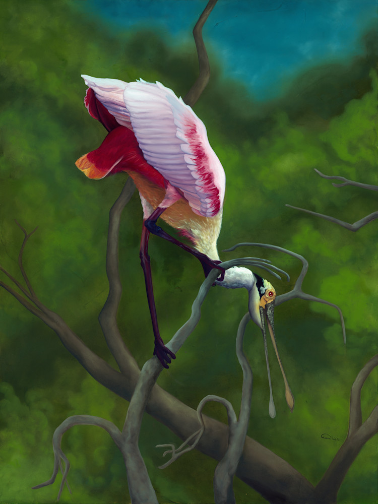 Exquisite Fine Art Print: Twisted Point of View - Roseate Spoonbill in Tree by Allison Richter