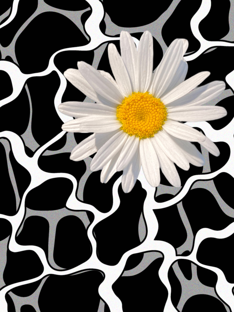 Daisy Retro Black White Vol. 1 Art | tannagx.com