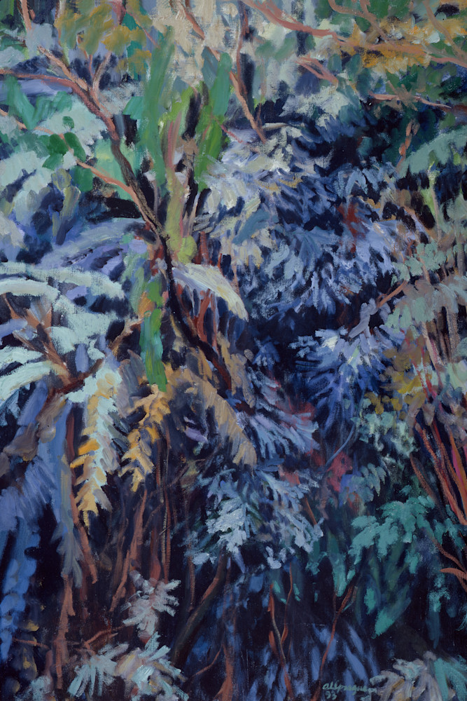 Panama Rain Forest Art | Sprague Art