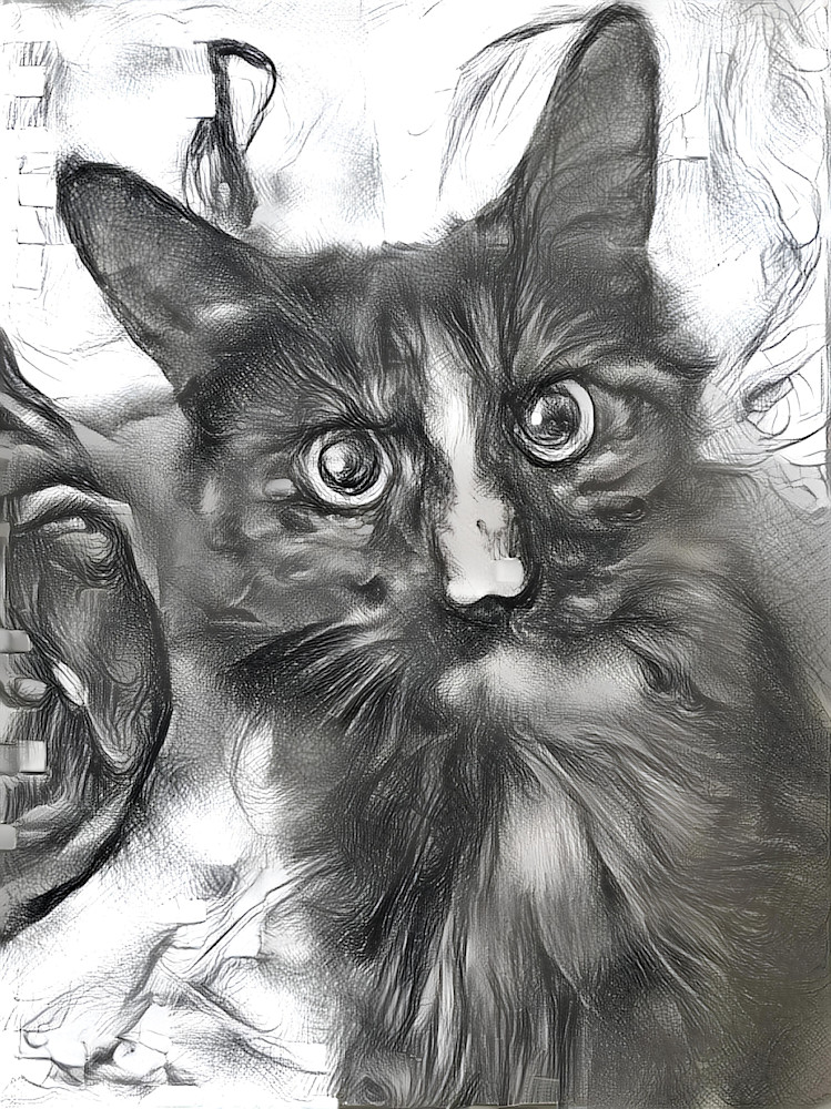 Willow Art | MangosArt, LLC